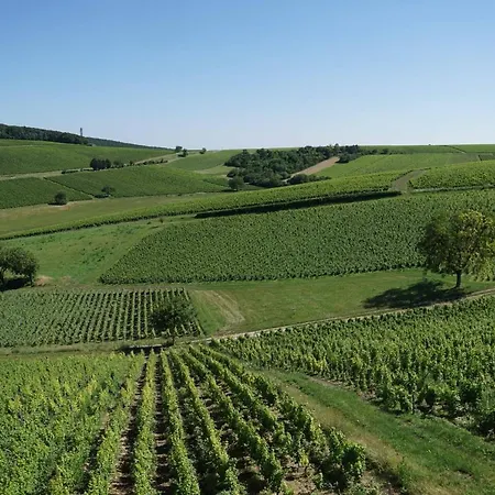 Au Pied Des Vignes Villa Sancerre Exterior photo